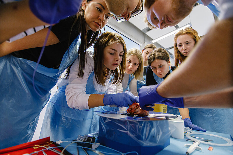 LU Medicīnas fakultātes studenti veic pirmās patstāvīgās sirds un asinsvadu operācijas